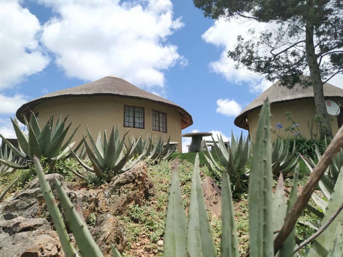 Mountain Aloe Den *